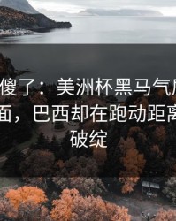 球迷看傻了：美洲杯黑马气质拉满，足彩盘面，巴西却在跑动距离上露了破绽