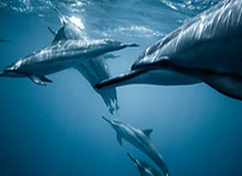 别被名气带偏：福彩3D走势像在拐弯：节奏给了提示