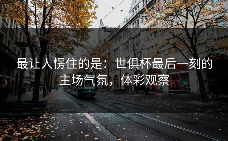 最让人愣住的是：世俱杯最后一刻的主场气氛，体彩观察