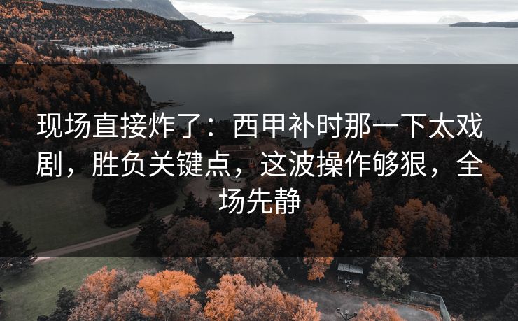 现场直接炸了：西甲补时那一下太戏剧，胜负关键点，这波操作够狠，全场先静